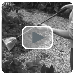 video van de bugaway